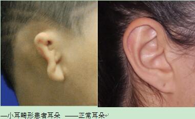 1678235792159007.jpg 未標題-1.jpg